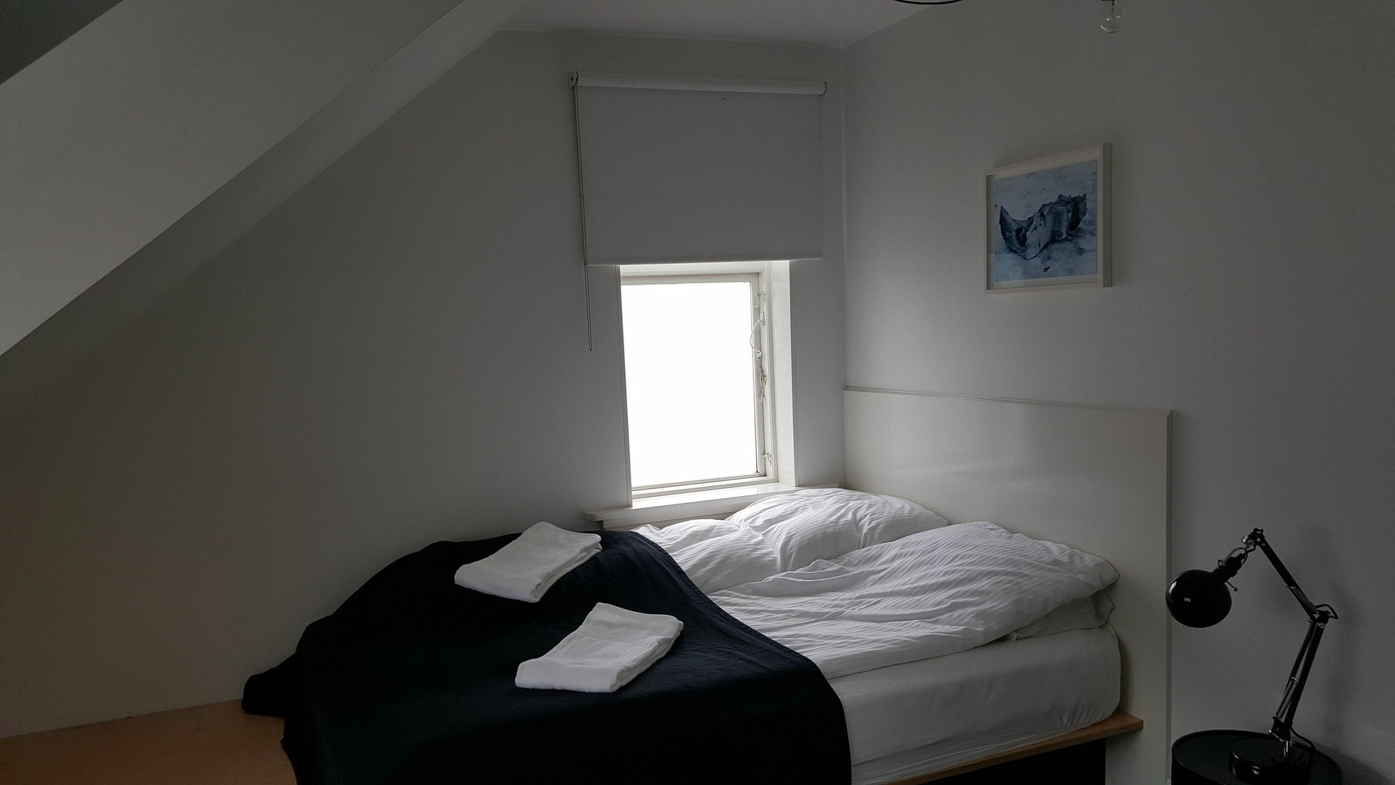 Luna Apartments - Laugavegur 37 Reykjavík Exteriér fotografie